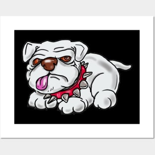 A white Bulldog named Terror Posters and Art